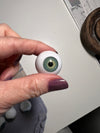 Green eyeball spider