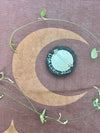 Pumpkin orb weaver spider brooch #1