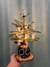 Luna Moth Skull Tree for Katie