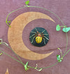 Pumpkin orb weaver spider brooch #3